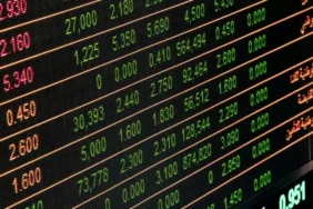 Kazdağları'nın Eteklerinden Toplanan Kuzugöbeği Mantarının Kilosu 1000 TL